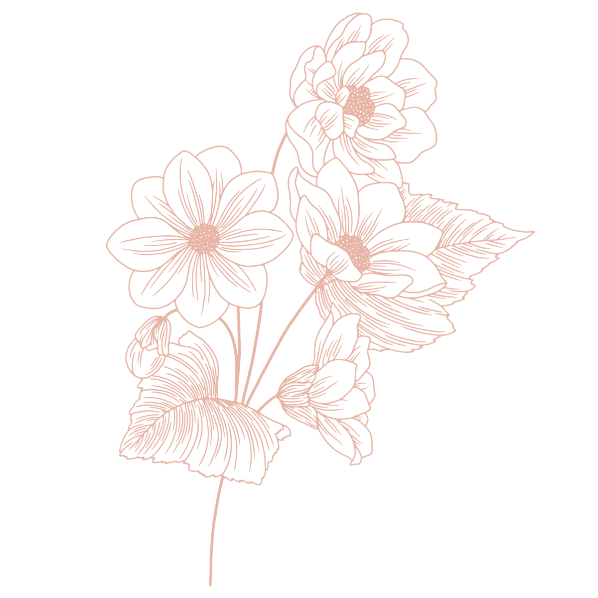 Graphic art, three outlined flowers grow together
