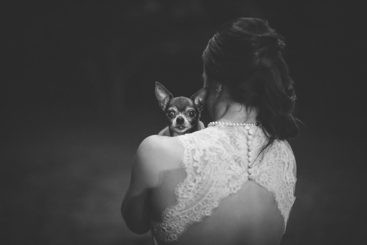 dog looking over brides shoulder after wedding at night at Vista West Ranch wedding venue