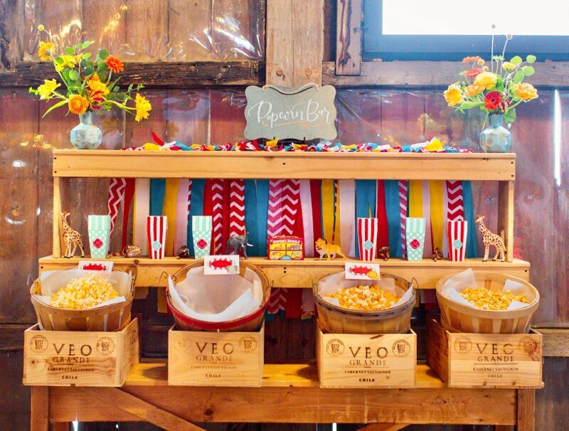 Circus Themed 1st Birthday Indianapolis Party Planner_0071
