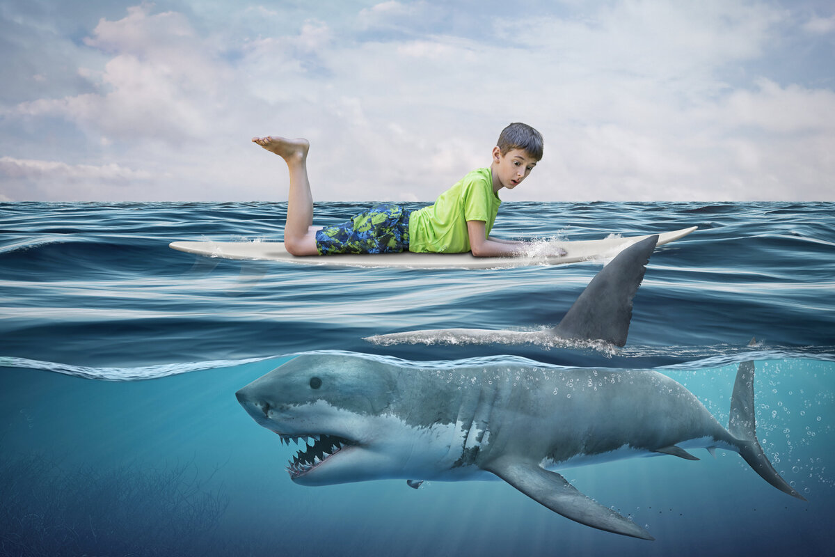 Boy on surfboard in ocean with shark underwater