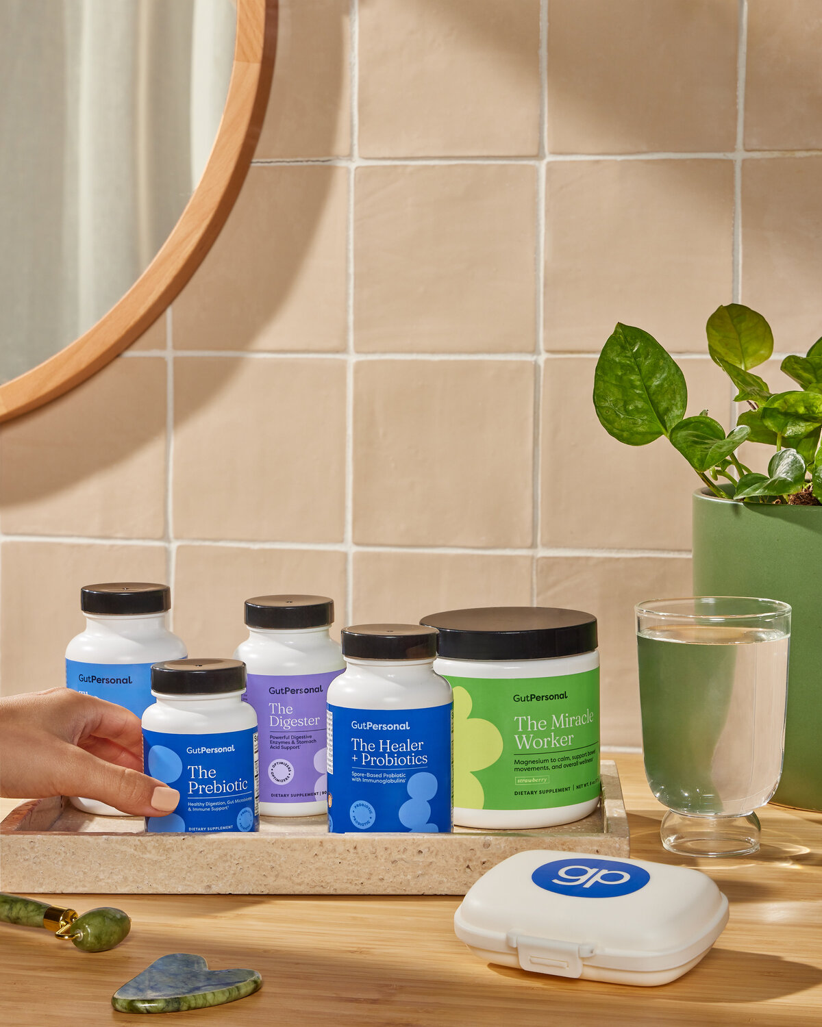 Gut Personal_Feb 2024_Shot 11