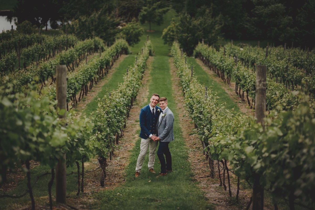 two grooms together in a vineyard