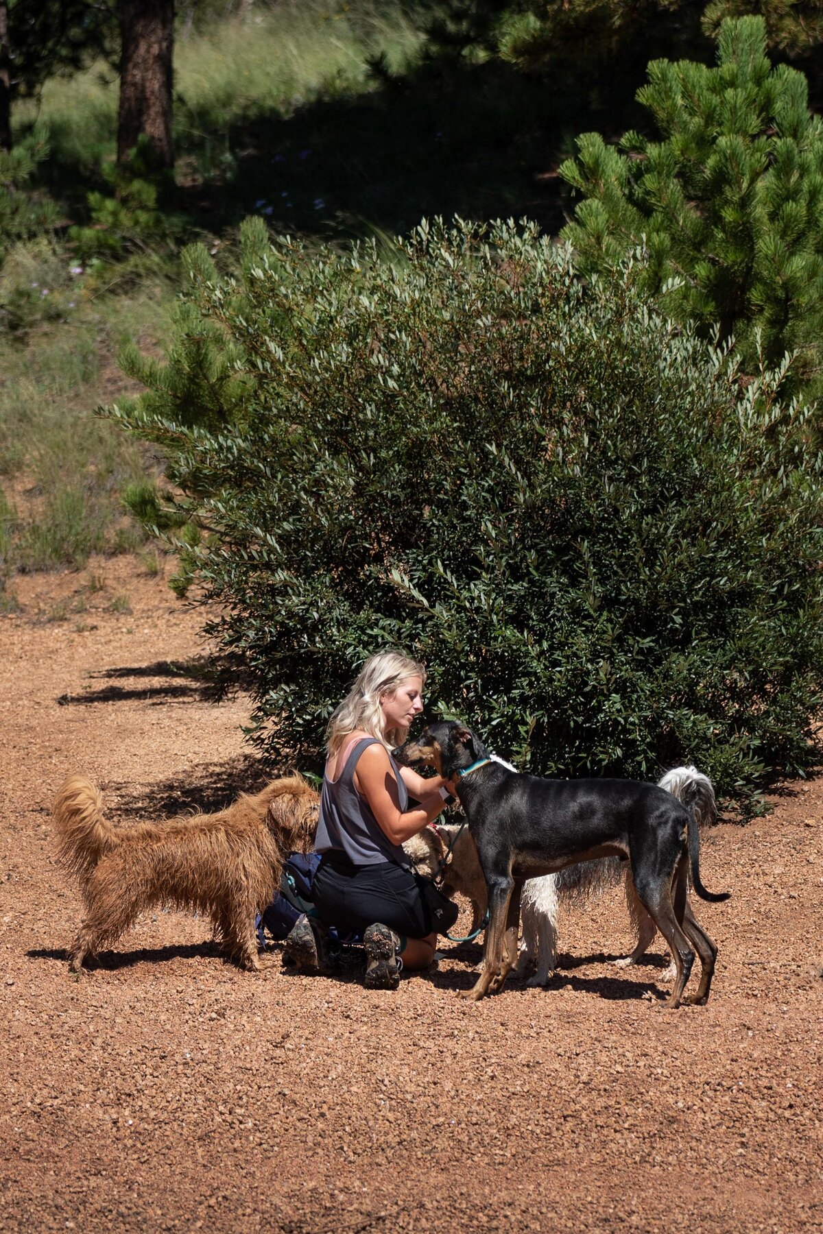 Colorado-Springs-Branding-Dog-Session-20