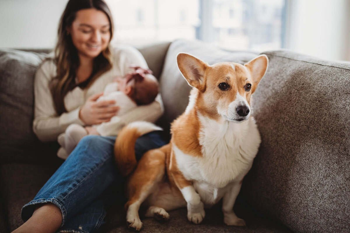 Harrisonburg-Newborn-Photographer-2-321