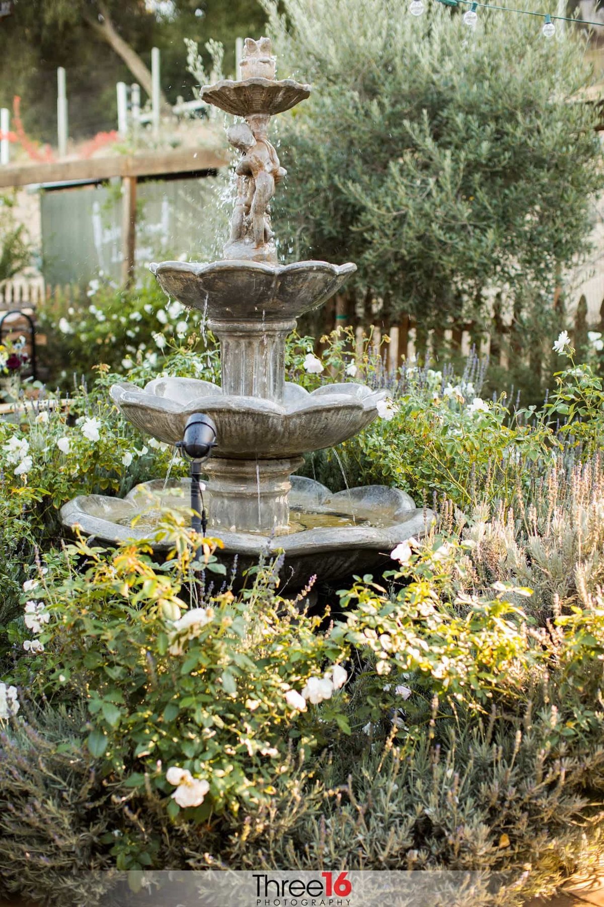 Water fountain at the Forever and Always Farm Wedding Venue