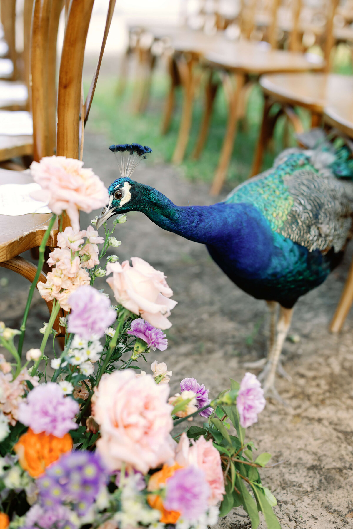 garden-party-wedding-matties-green-pastures-austin-texas-whitt-ross-planning-julie-wilhite-photography-14