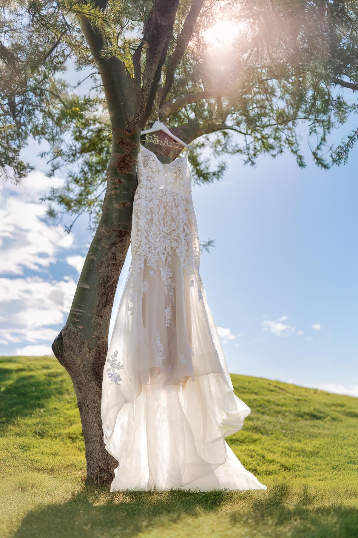 Elona Shea Photography_lake Havasu_Wedding_iron wolf_Refuge Golf Resort-21