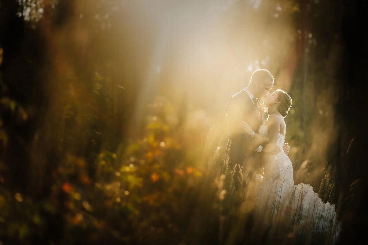 A bride and groom embrace amidst a dreamy forest glade, illuminated by a radiant burst of sunlight filtering through the trees.