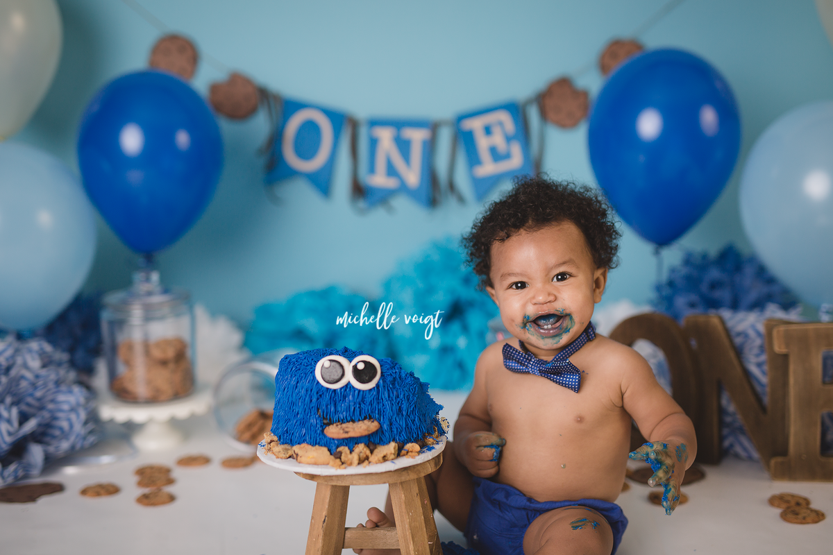 one year cake smash - cookie monster theme