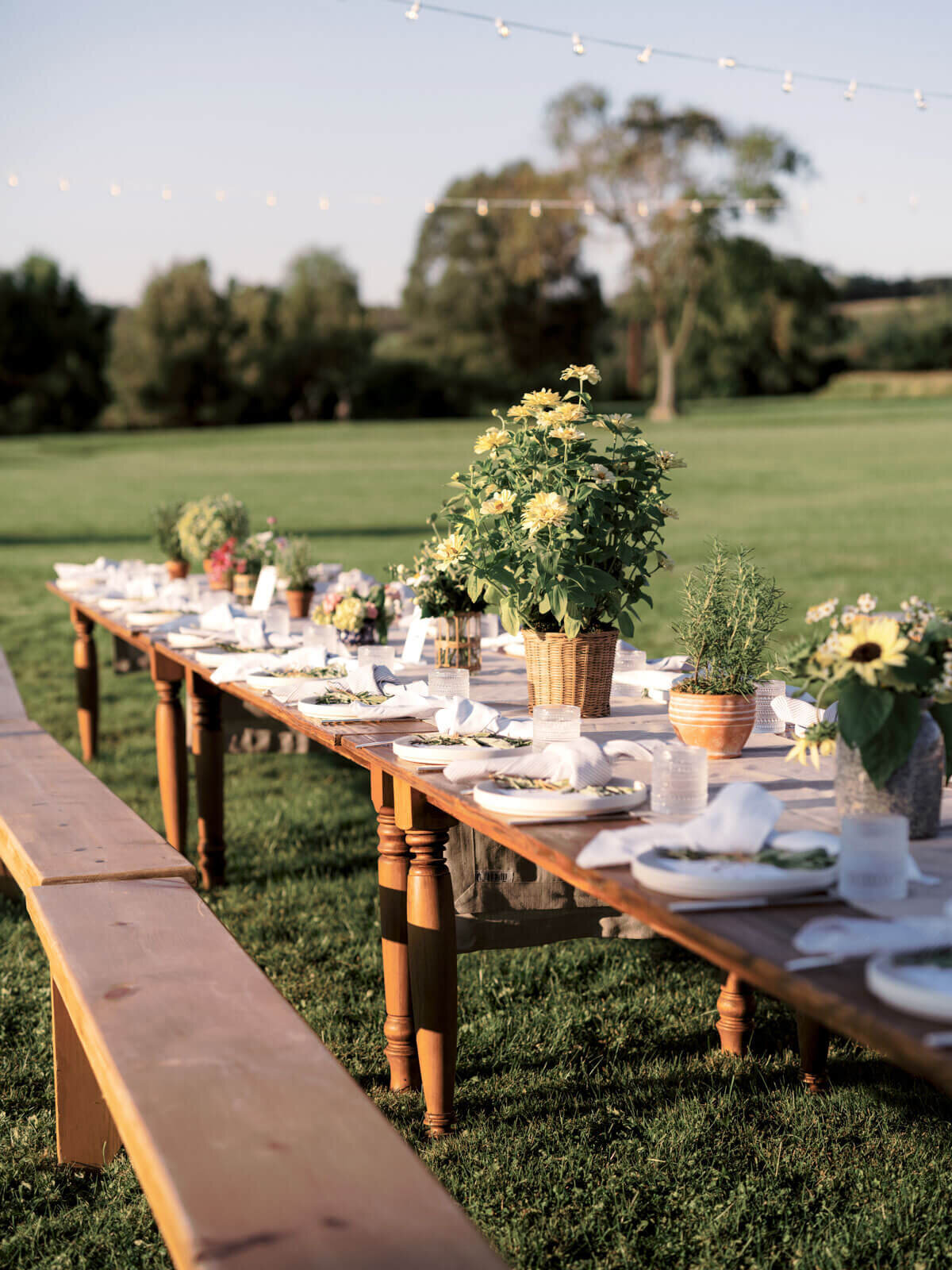 A rustic and pretty dining set-up outdoors, with lovely flower centerpieces, at Lion Rock Farms, CT. Image by Jenny Fu Studio