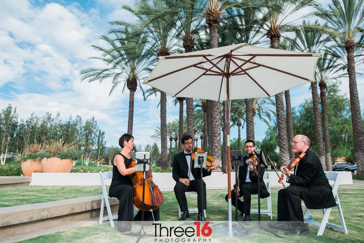 Small orchestra playing during the wedding ceremony