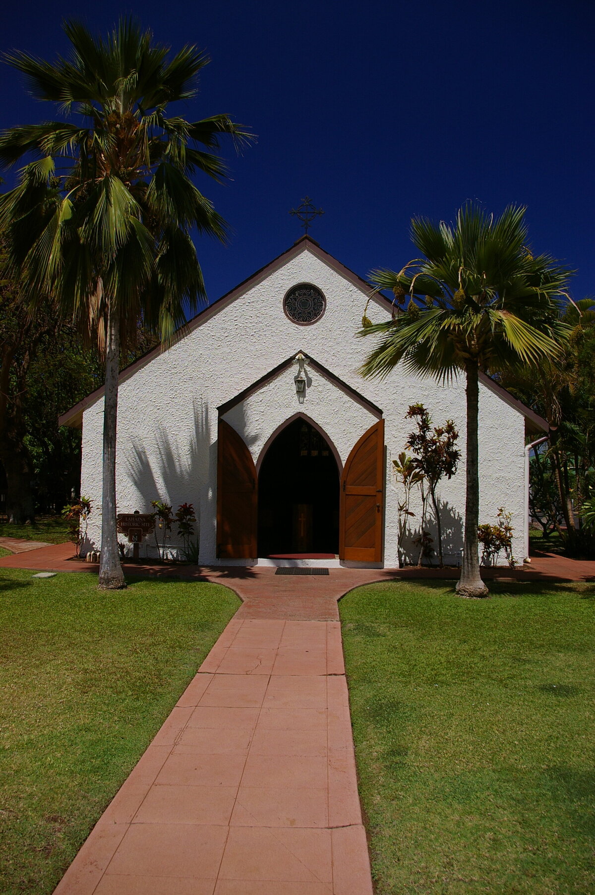 IMGP8798