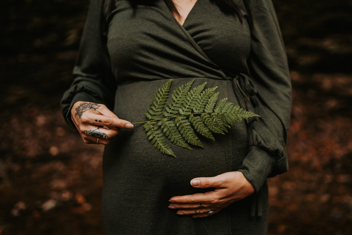 Pittsburhgh Maternity Photographer--7