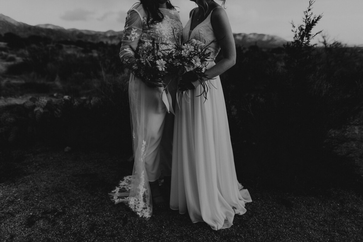 two brides standing together in the Albuquerque desert