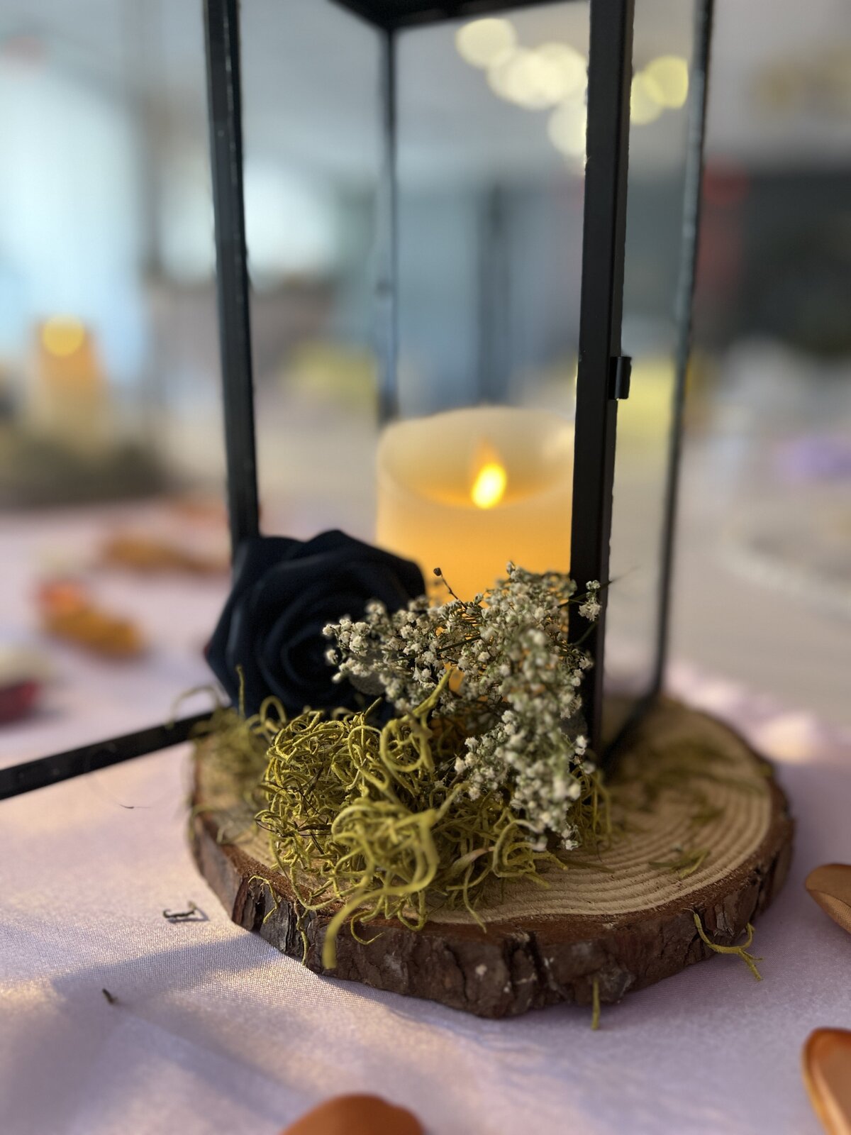 Whimsical Lanterns and Moss Wedding Reception Decor Package - Creating a Fairytale Celebration in Clearwater, Florida