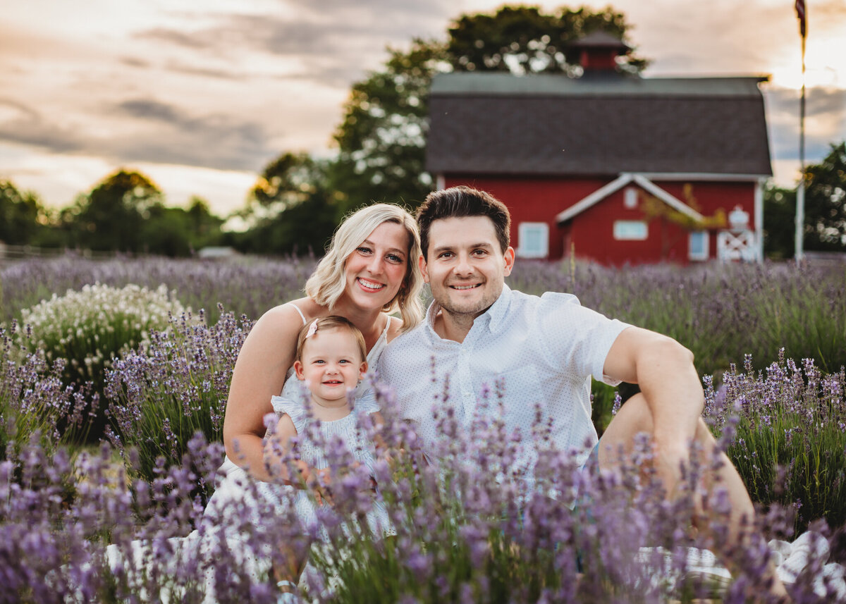 lavender field family photography new jersey
