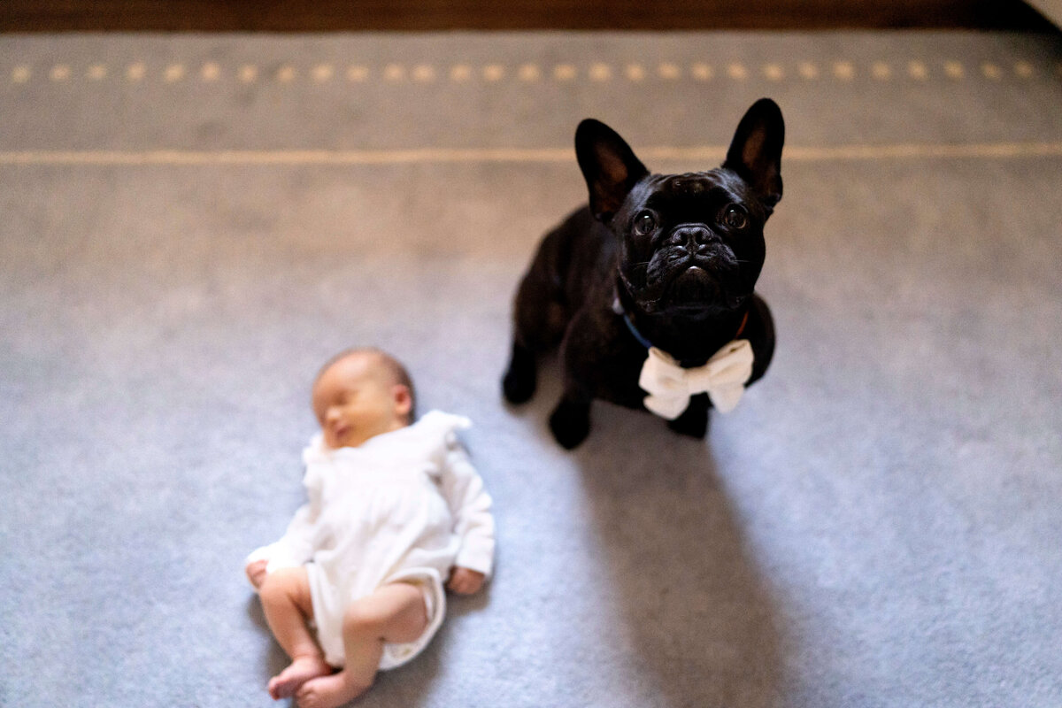 Baby on floor with dog next to hear