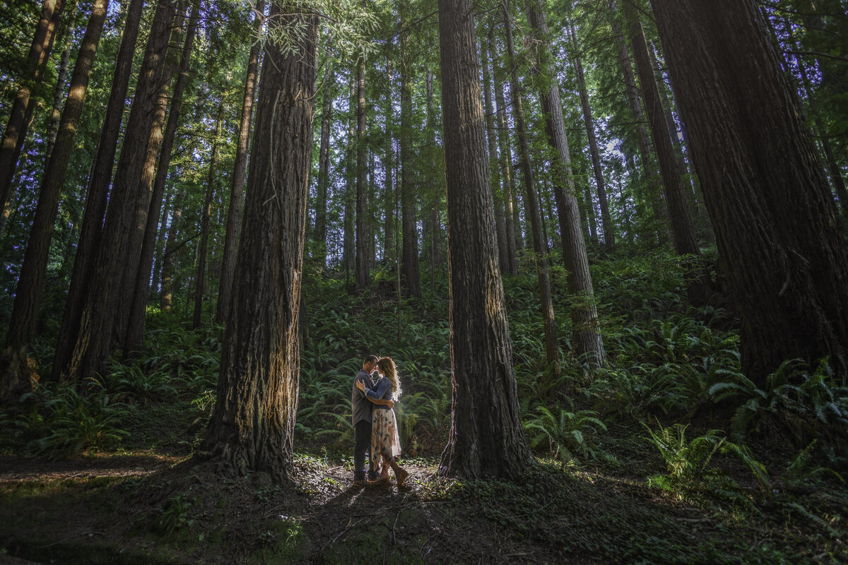 Redway-California-engagement-photographer-Parky's-Pics-Photography-Humboldt-County-redwoods-Avenue-of-the-Giants-Humboldt-Redwoods-State-Park-engagement-1.jpg