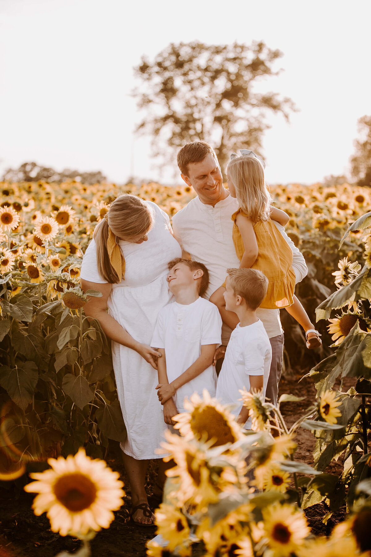 Sunflower-Field-Mini-Session-Family-Photography-Woodbury-Minnesota-Sigrid-Dabelstein-Photography-Thompson-4