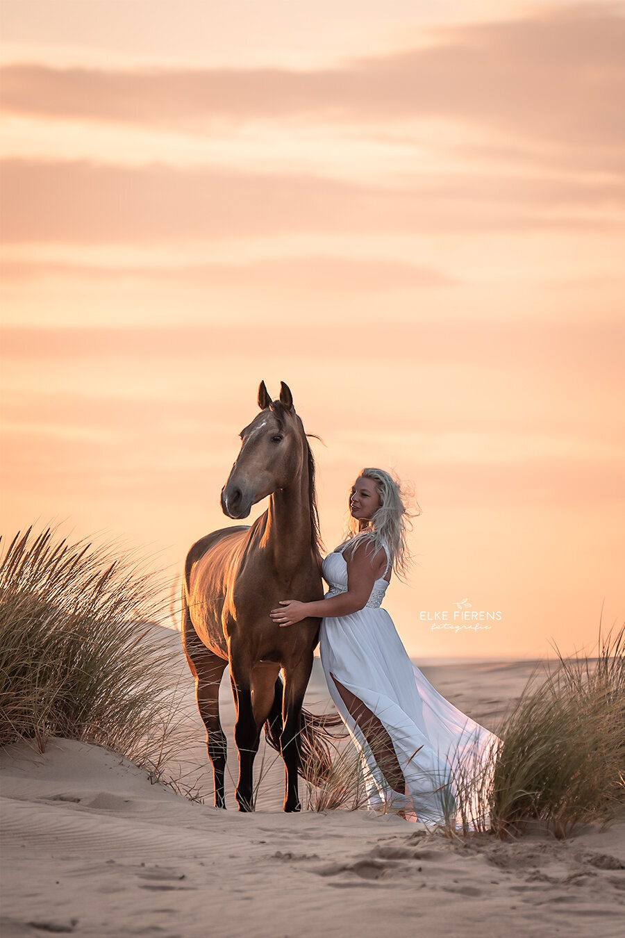 paardenfotograaf - romantische paardenfoto's aan zee