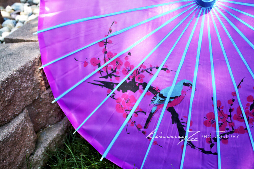 Bright pink and turquoise Asian umbrella parasol with cherry blossom and bird on it