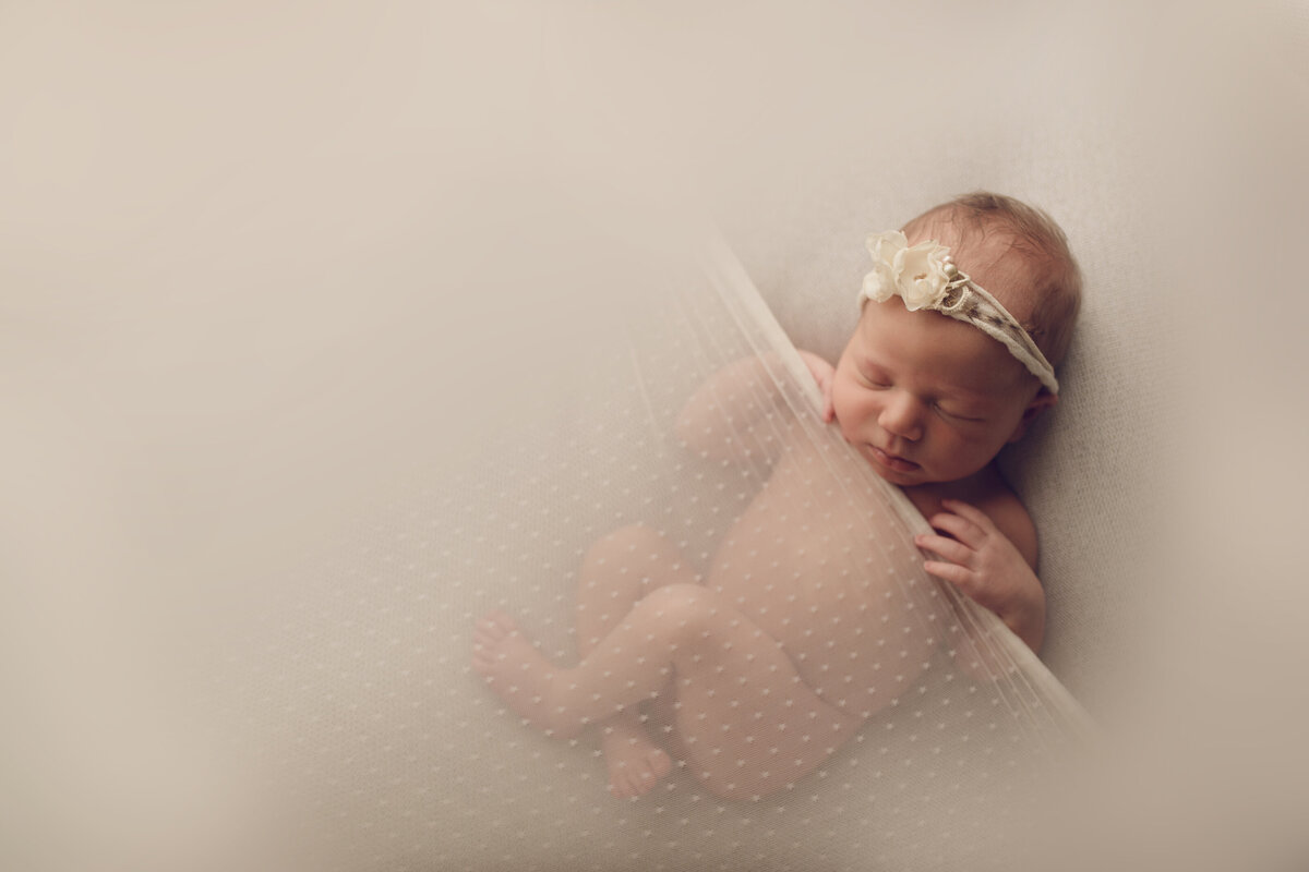 newborn gallery | CL6B7969