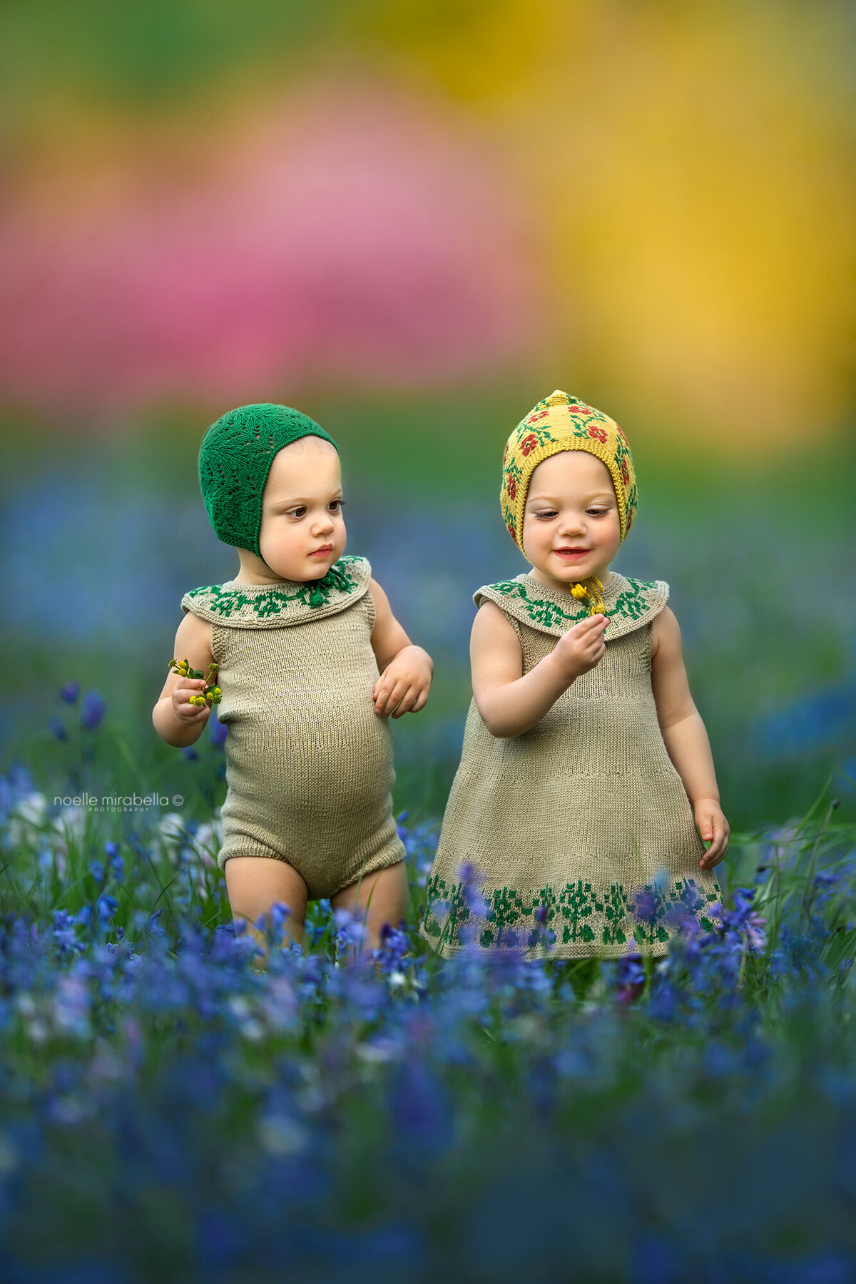 Twin baby girls playing with bluebell flowers in a field of bluebells.