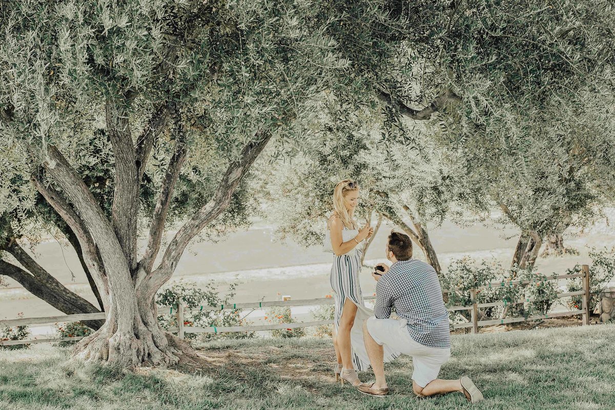 Babsie-Ly-Photography-Fine-Art-Film-Surprise-Proposal-Photographer-Temecula-Thornton-Winery-California-003