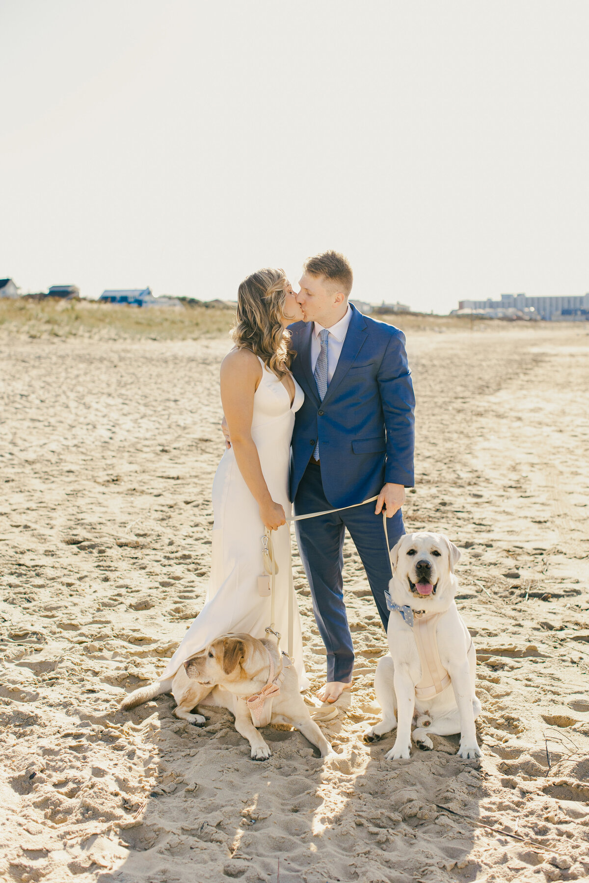 Kelsey & Dan_Wedding_Bride & Groom with Dogs-1005