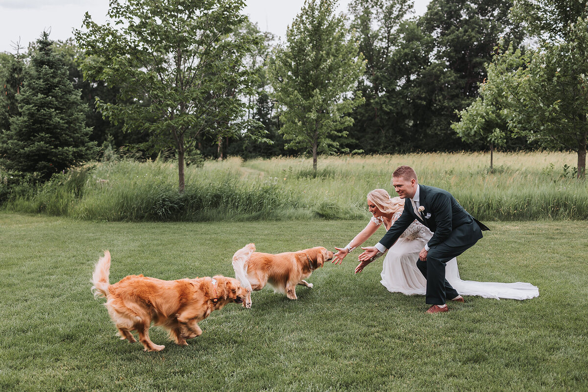 dog-wedding-photo-minnesota