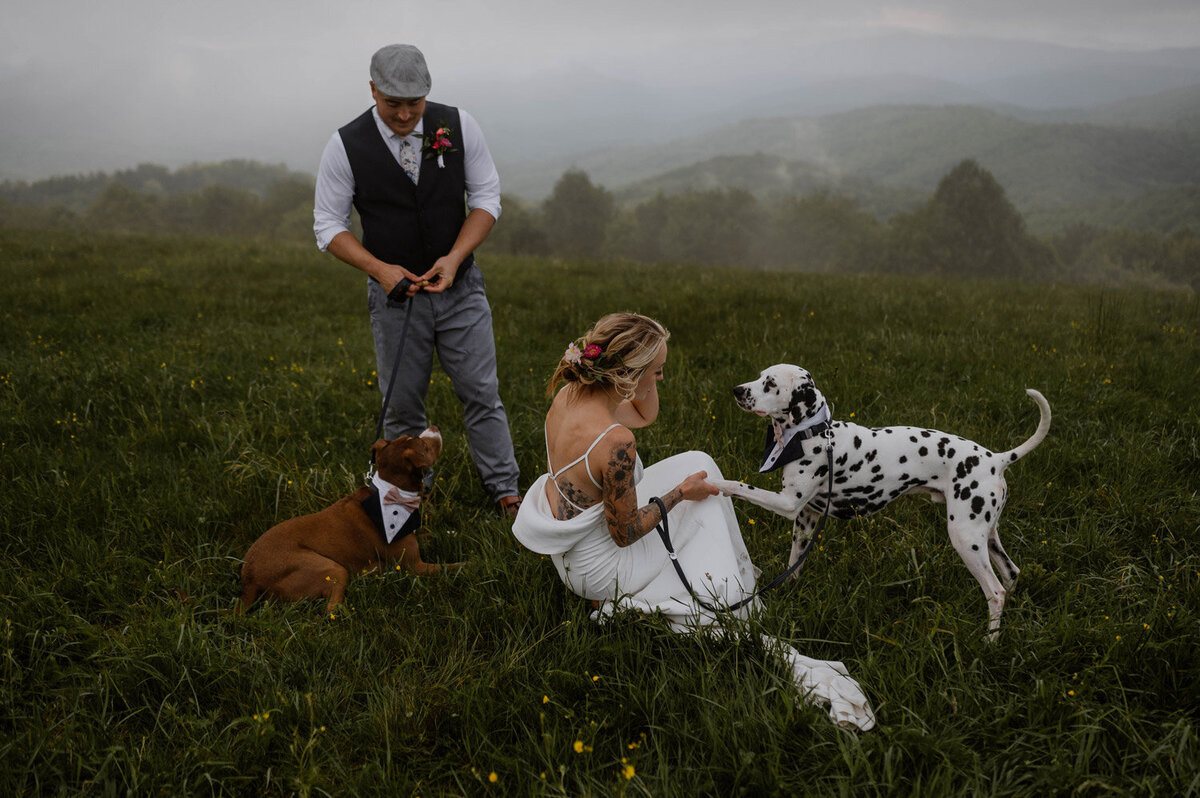 Asheville Elopement Session with dogs