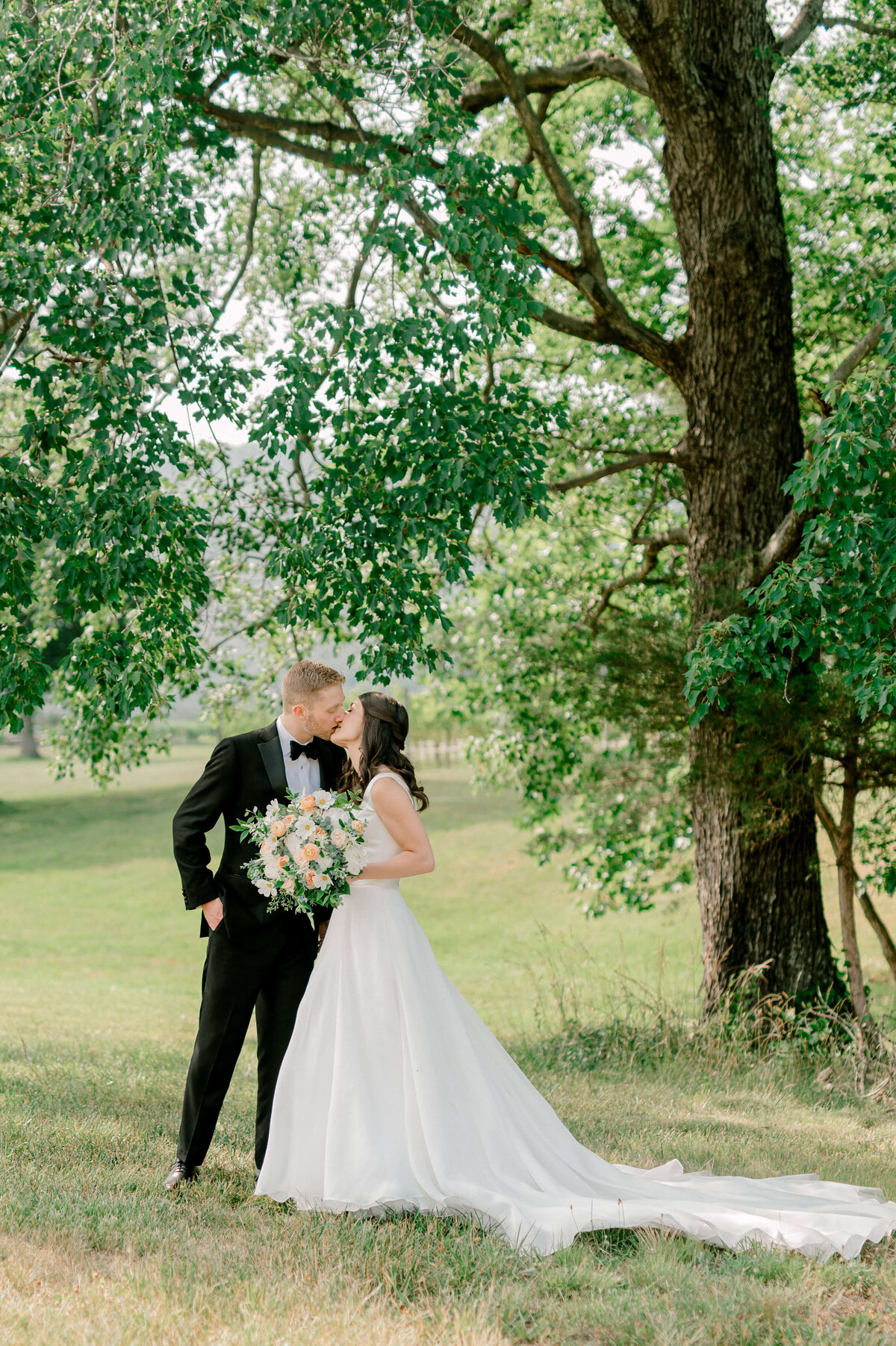 Romantic image of a couple kissing under a tree at a winery located outside of Washington DC