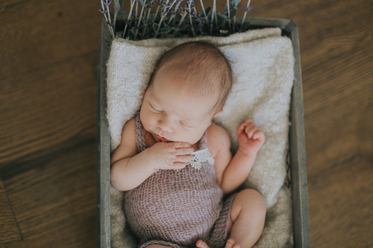 raleigh-newborn-photographers-Ella-0179