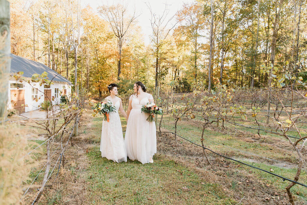 Two brides walking in the vineyards at koury farms weddings