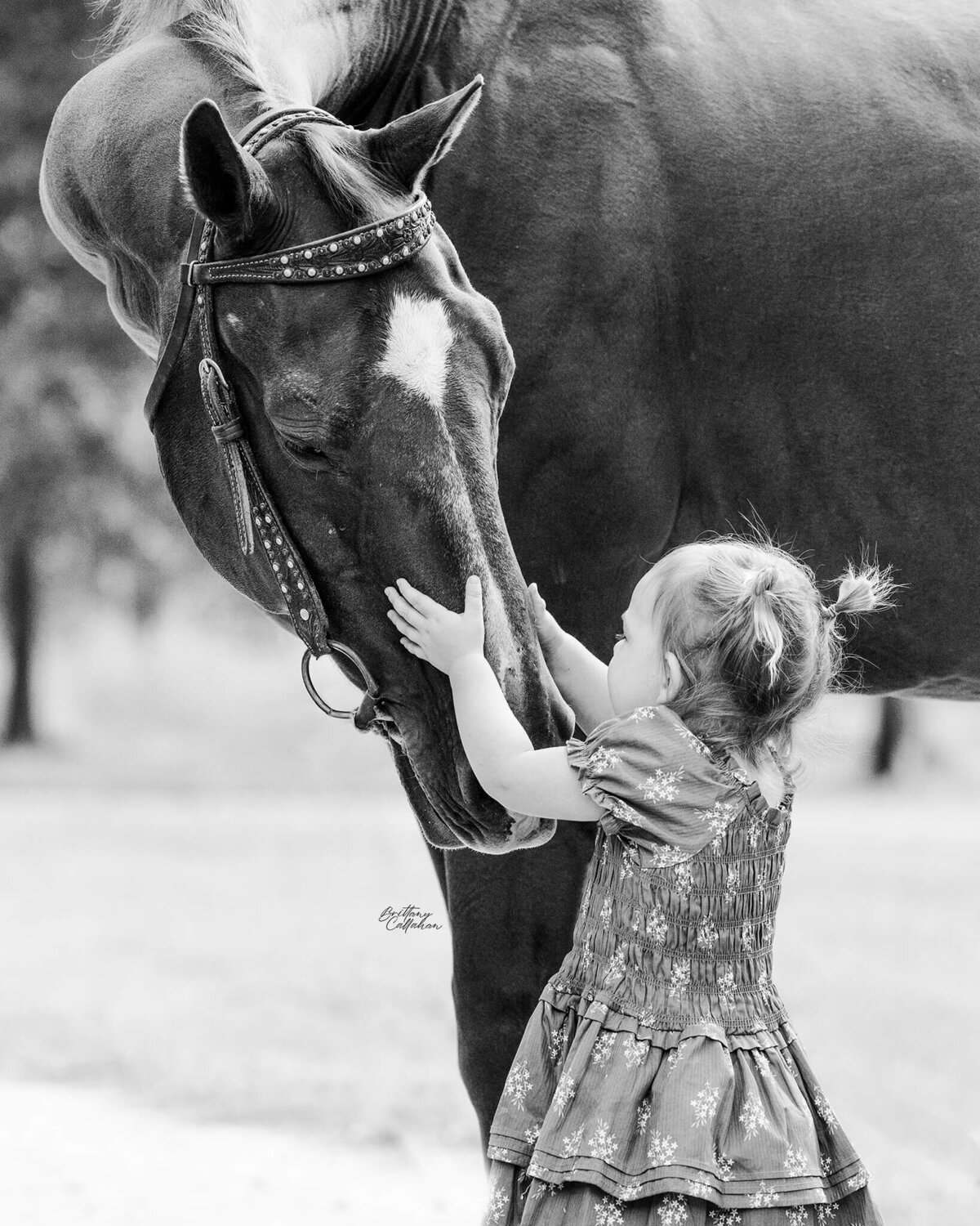 black and white photo of a young girl in pig tails embracing her quarter horse gelding in a sweet moment.