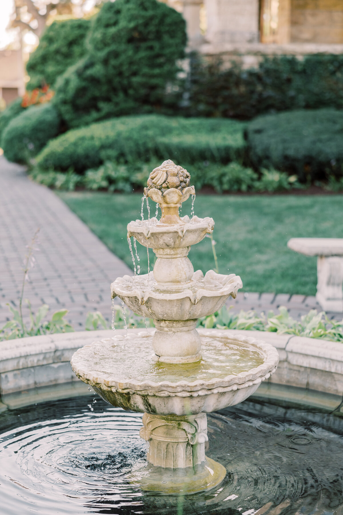 Elle Taylor Photography1090653