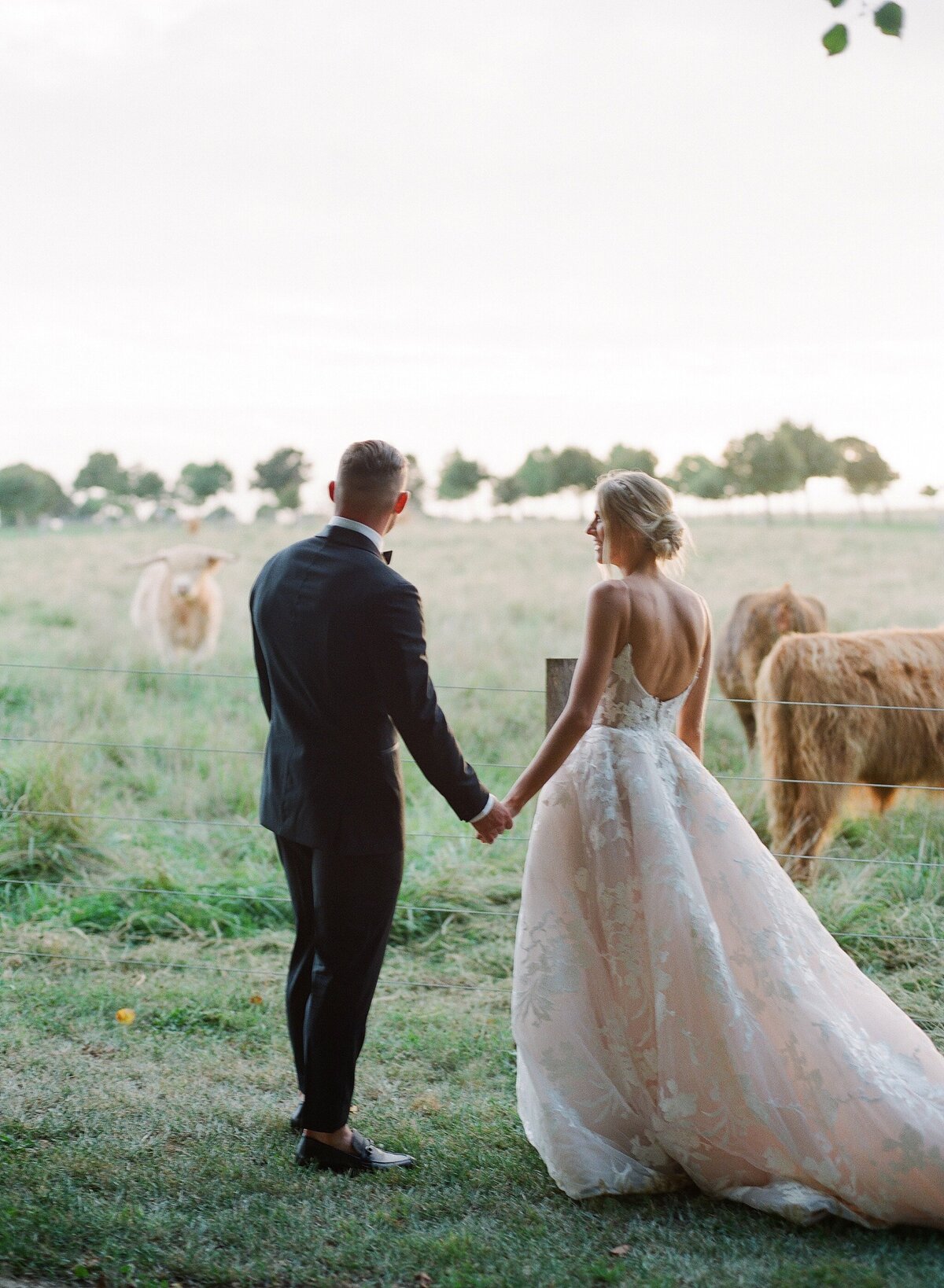 Bride and groom portraits with cattle