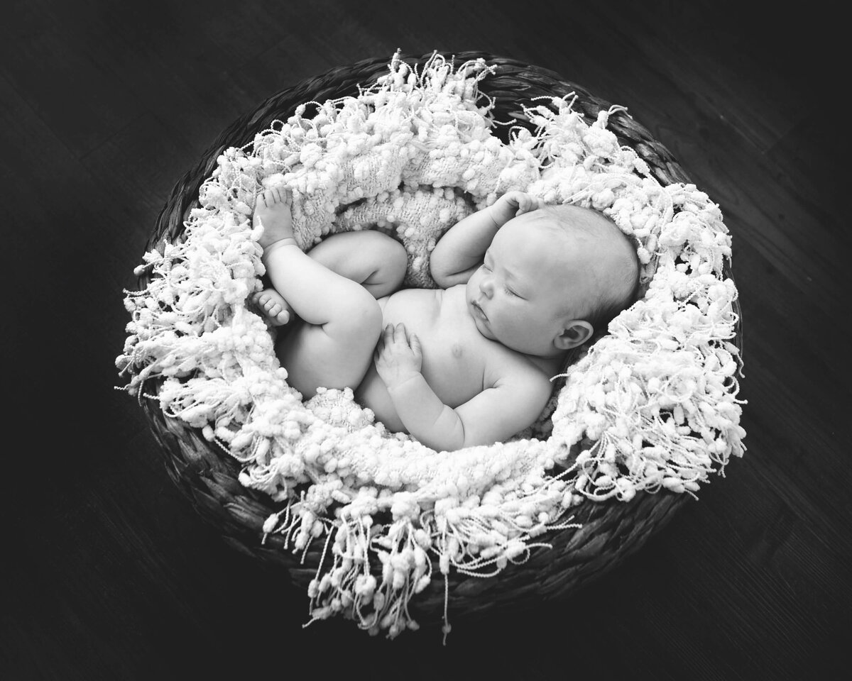 raleigh-newborn-photographer-4a