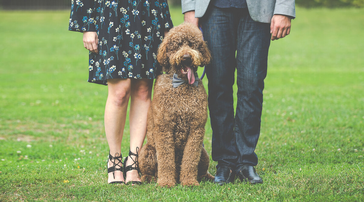 A portrait of a dog wearing a tie, standing between his parents.