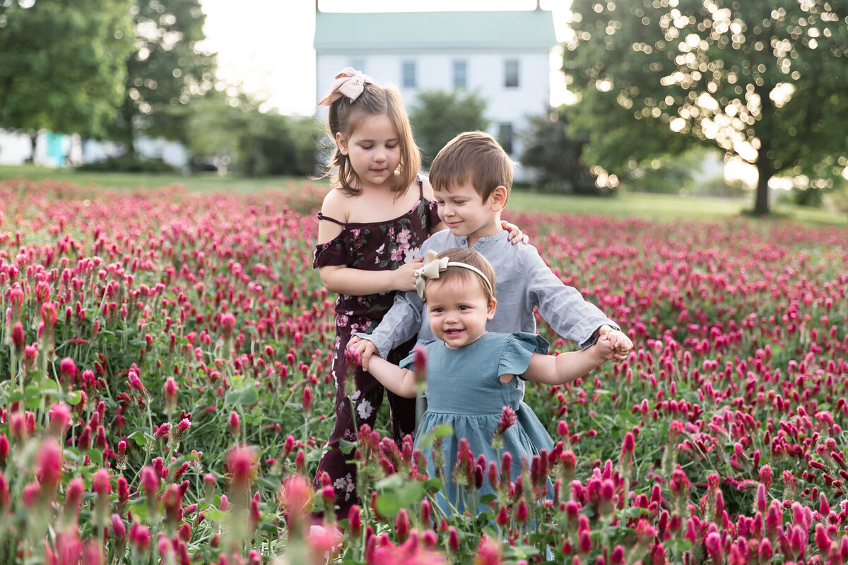 Siblings plays in crimson clover field at sunset during their family photoshoot in White Hall, Maryland