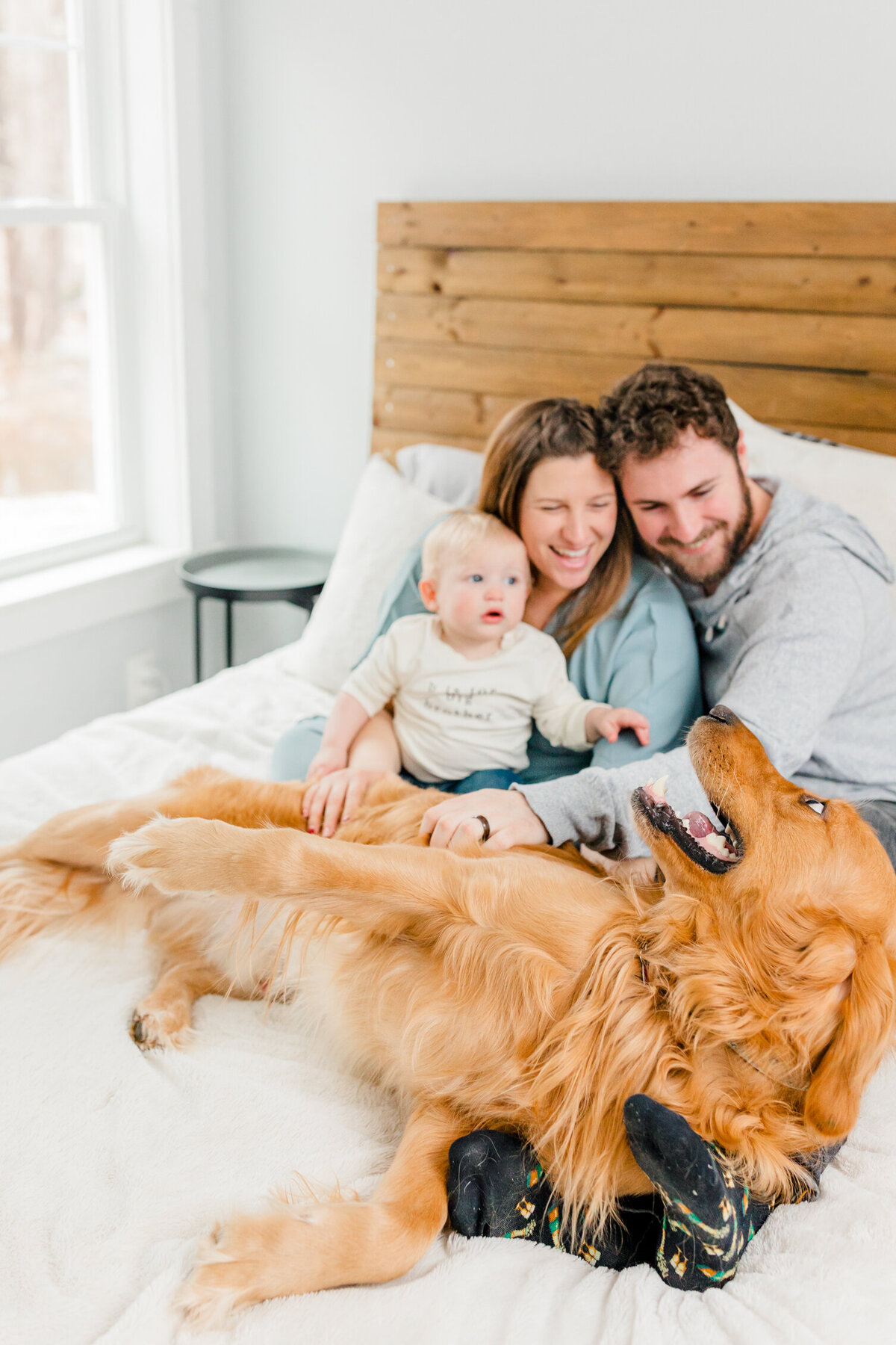 Dad, pregnant woman, and child laughing together with their dog