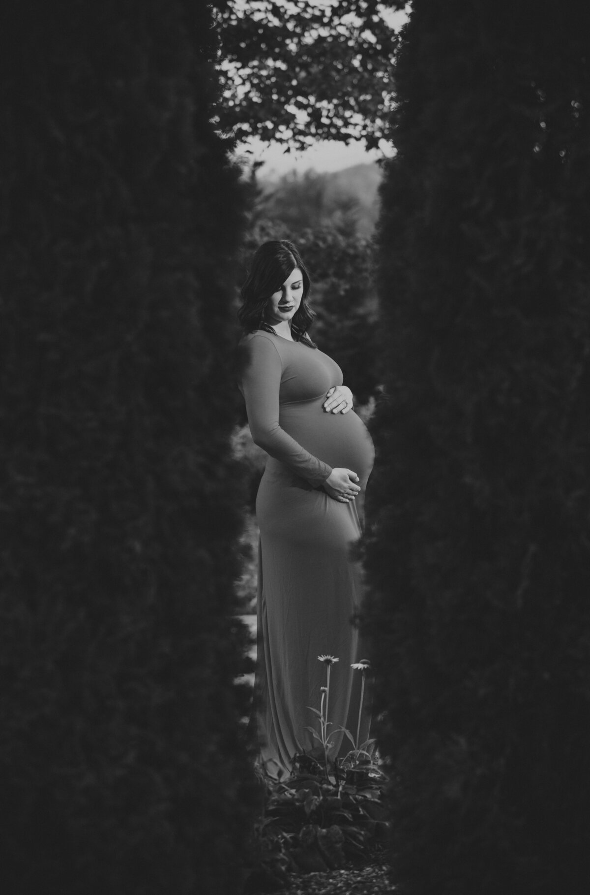 modern maternity photography in Knoxville