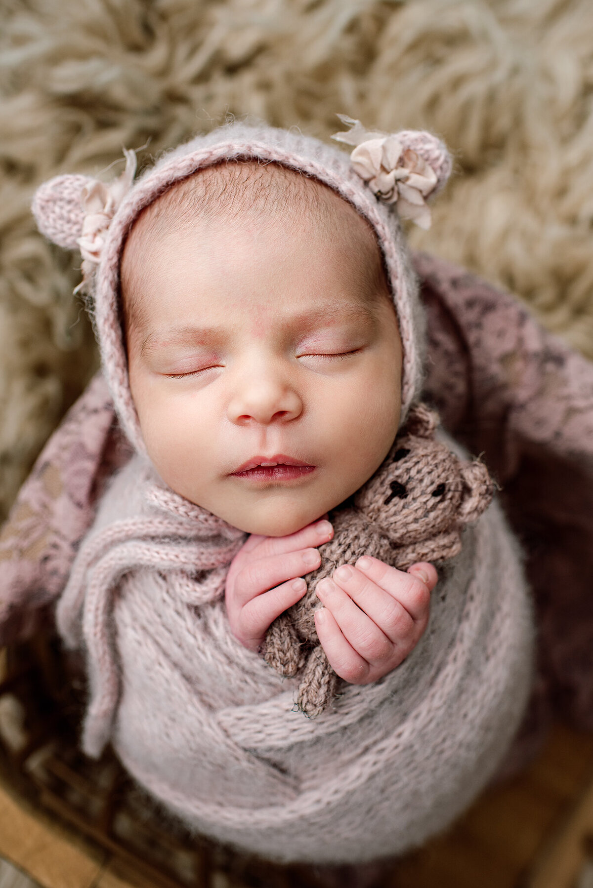 erin-elyse-photography-newborn-bear-st-augustine-fl