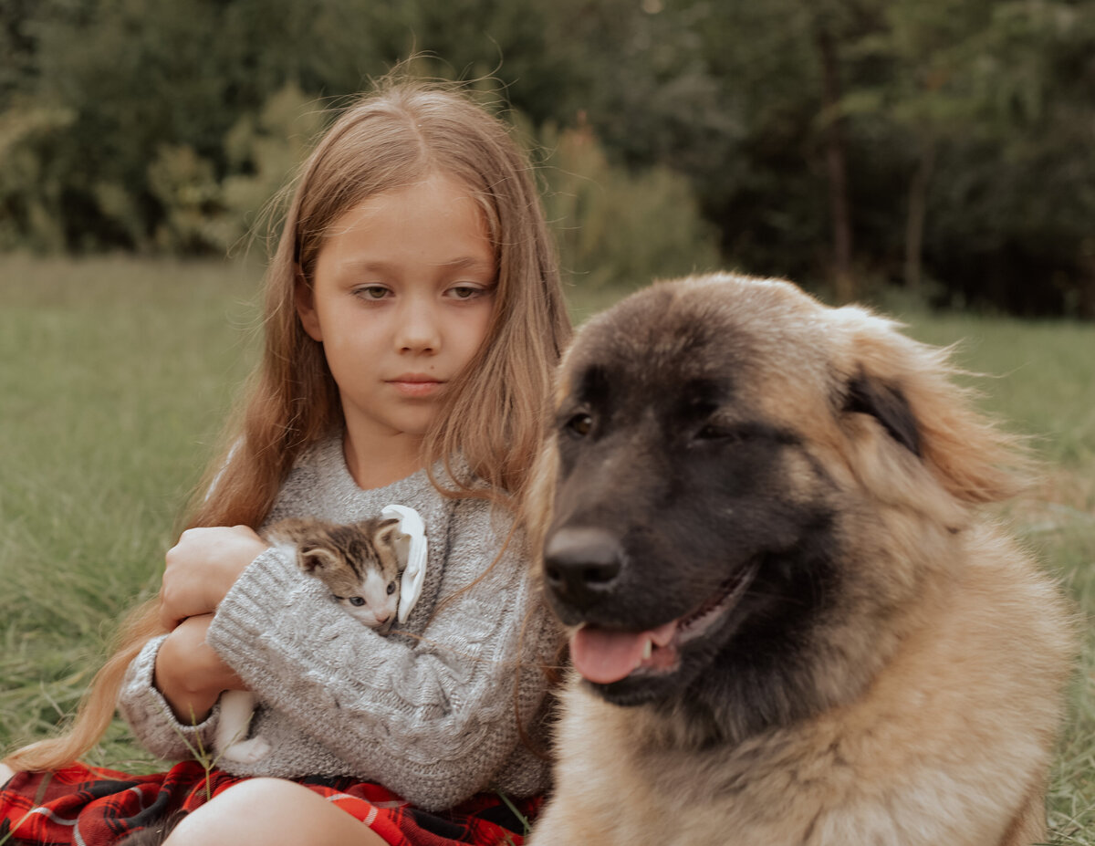Estrela Mountain Dog with child-82