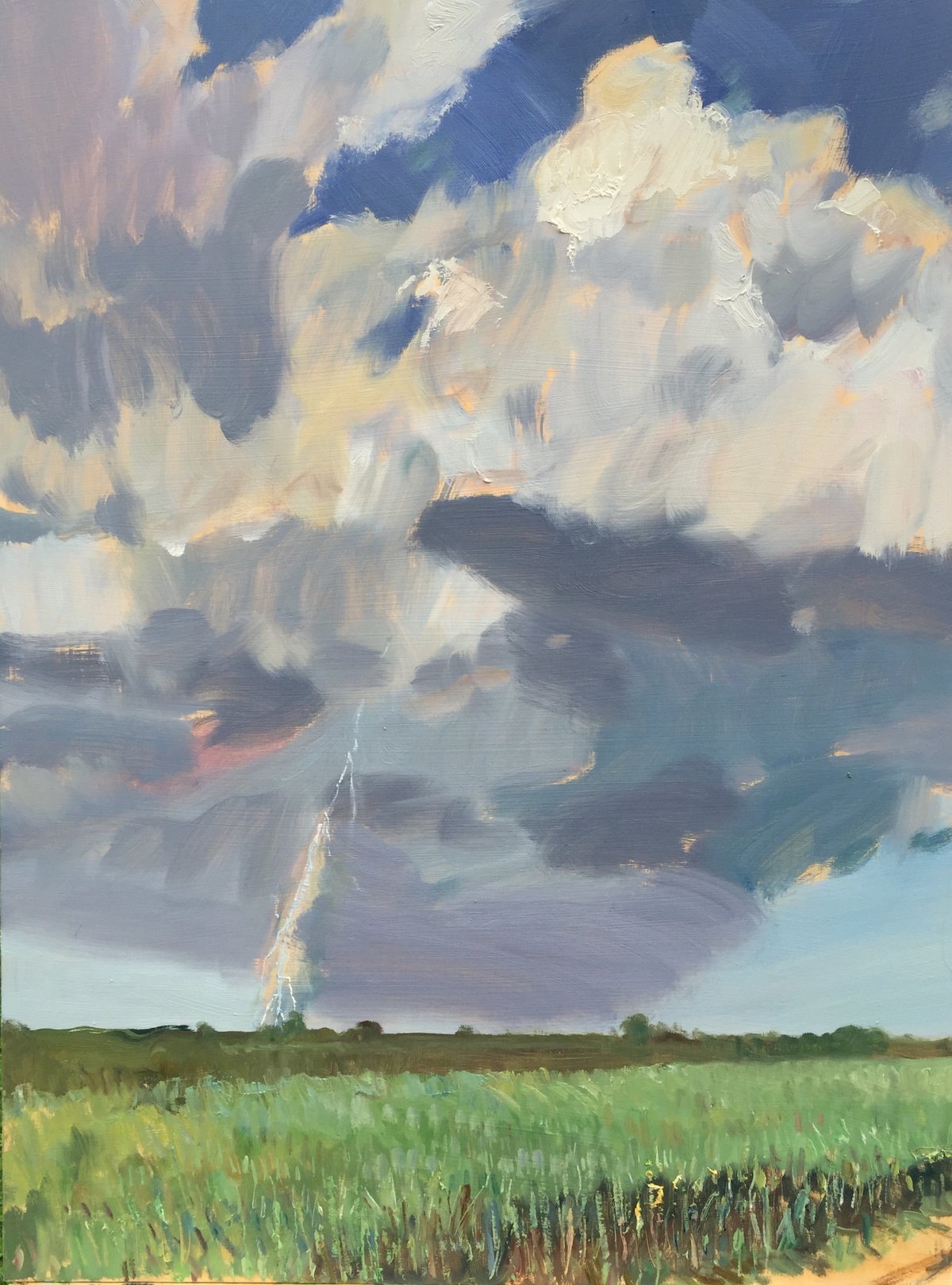 Tall Grass and Lightening 18 X 24 oop 4000