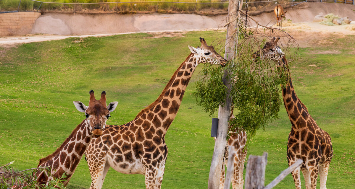 Prosource Fall Sumit Day 3-146