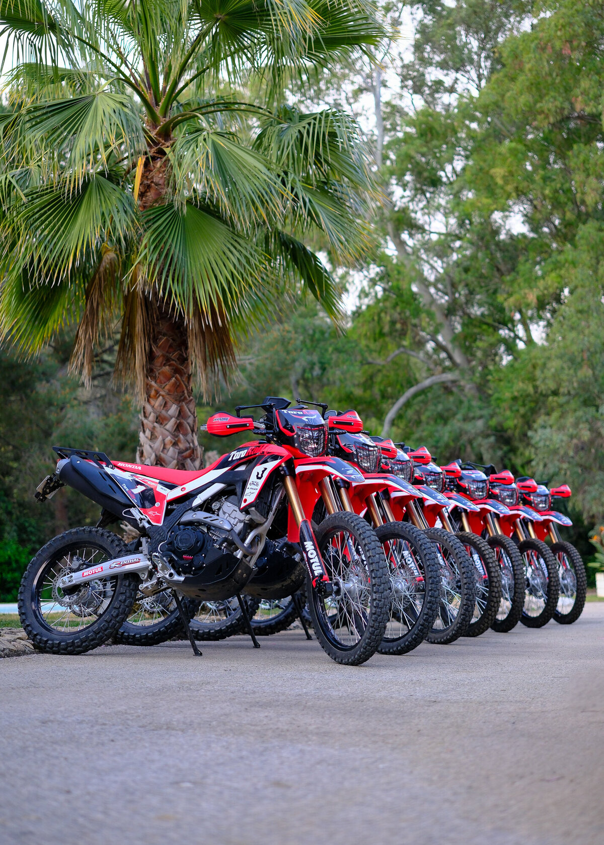 ToroRally