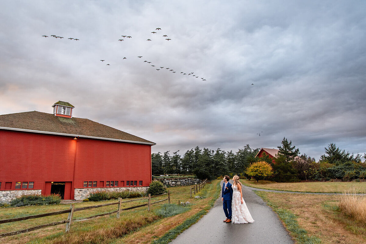Seattle-wedding-photographer_crockett-farm-whidbey-island