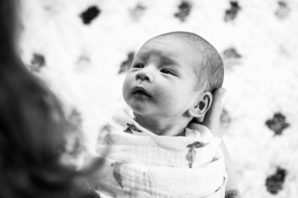 boston-newborn-photographer-25