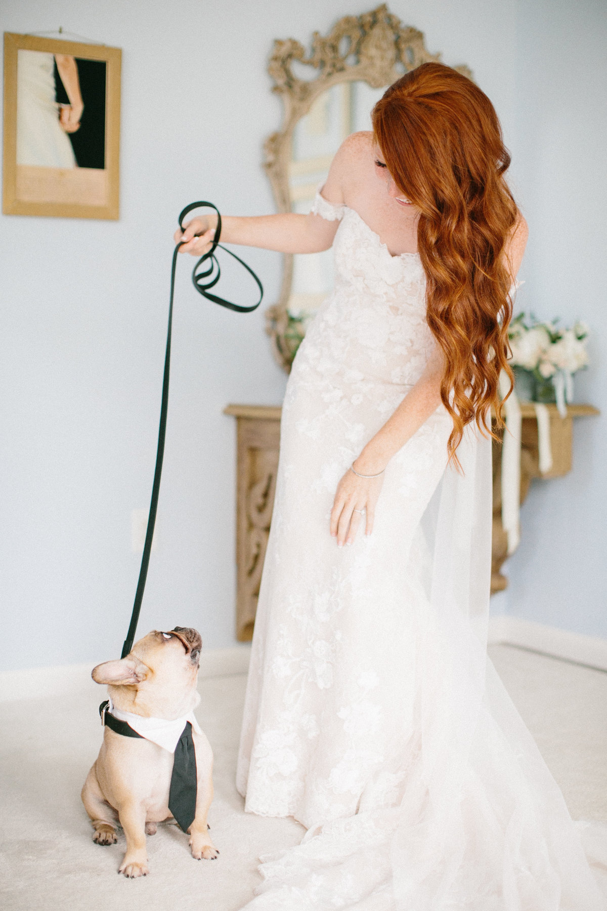 bride holding leash with pug on wedding day